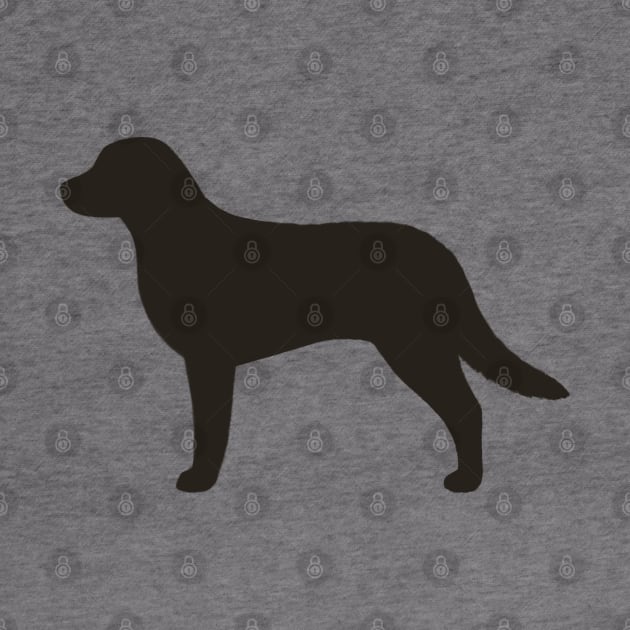 Chesapeake Bay Retriever Silhouette by Coffee Squirrel